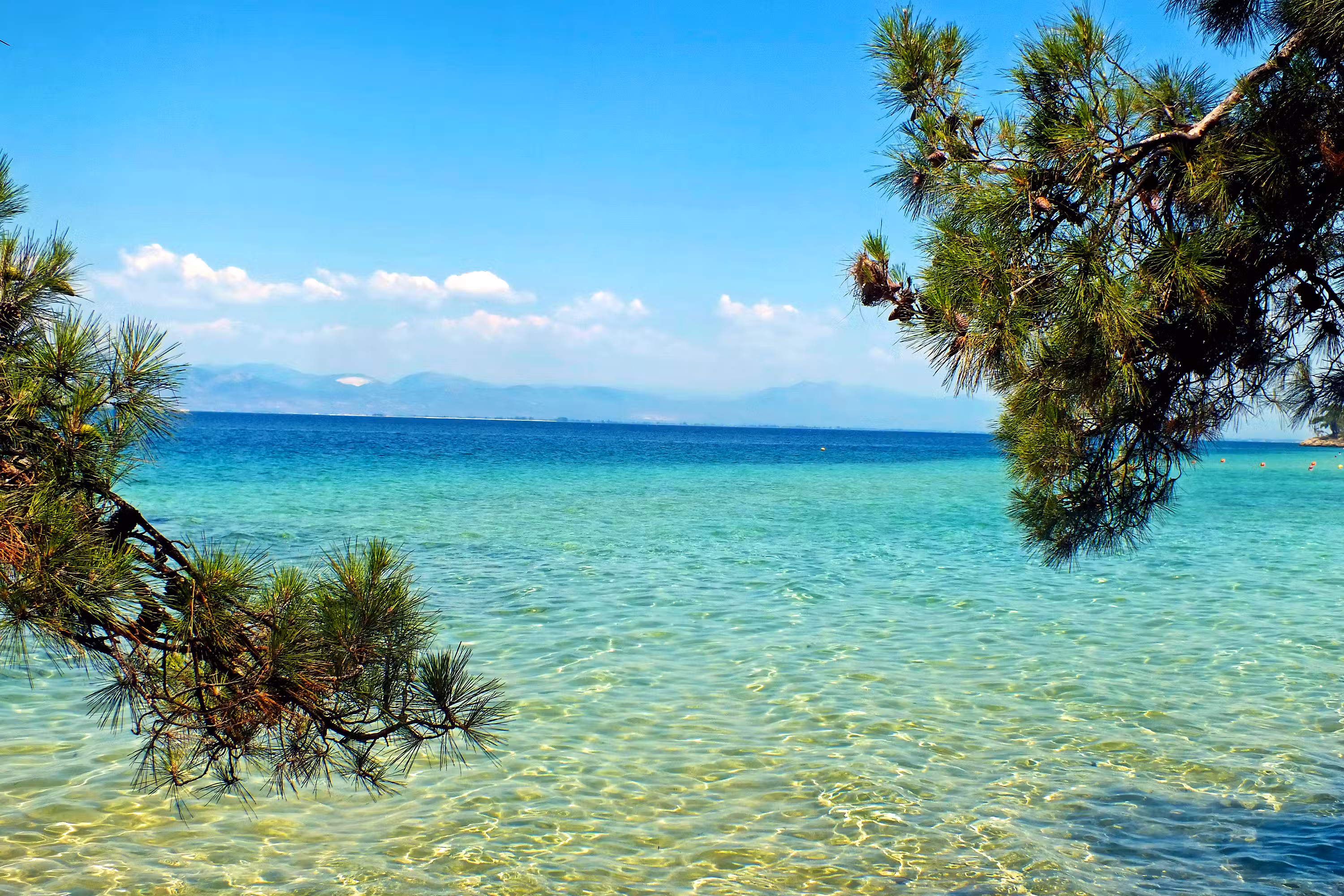 Gallery - Gallery - 24