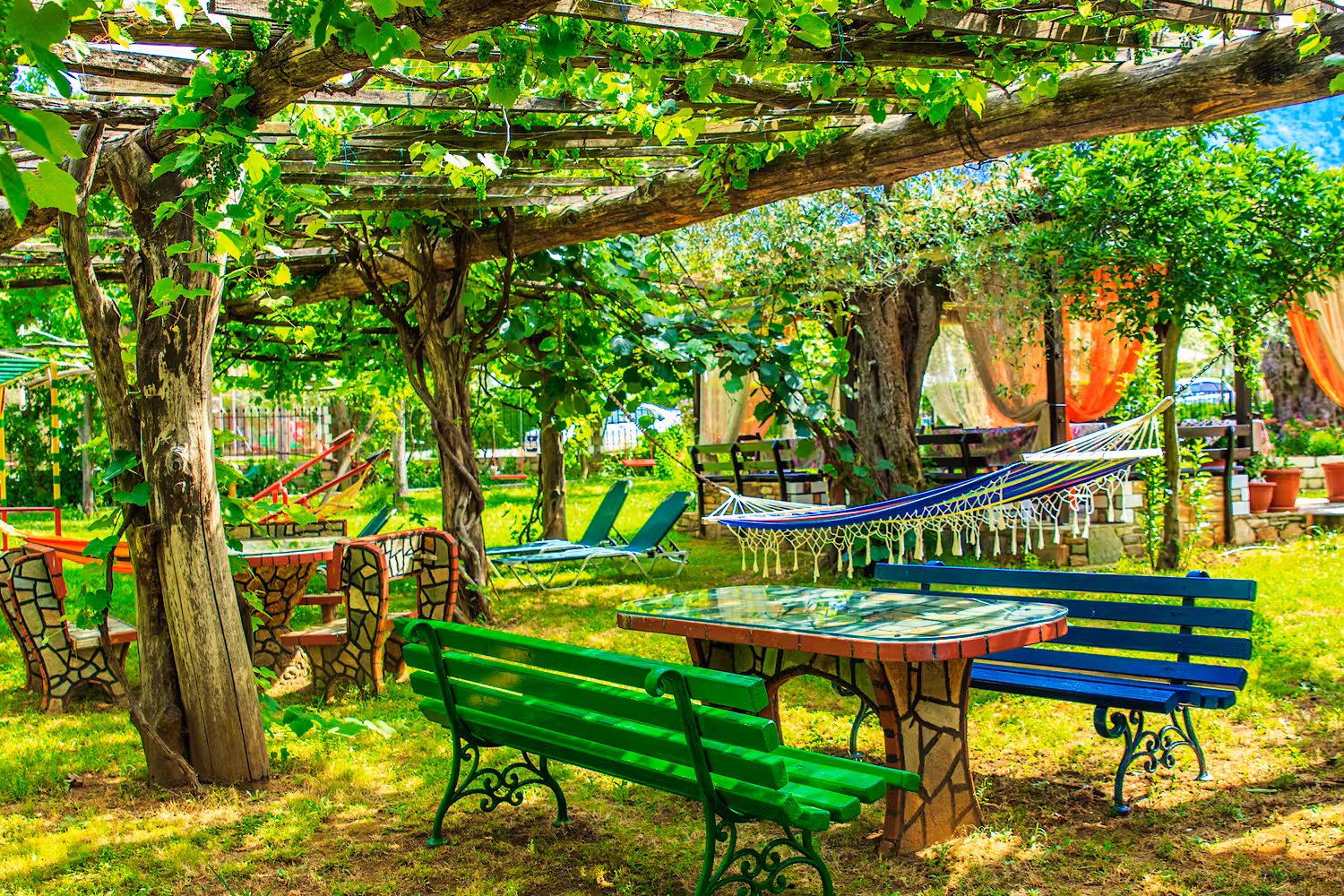 Gallery - Gallery - 18