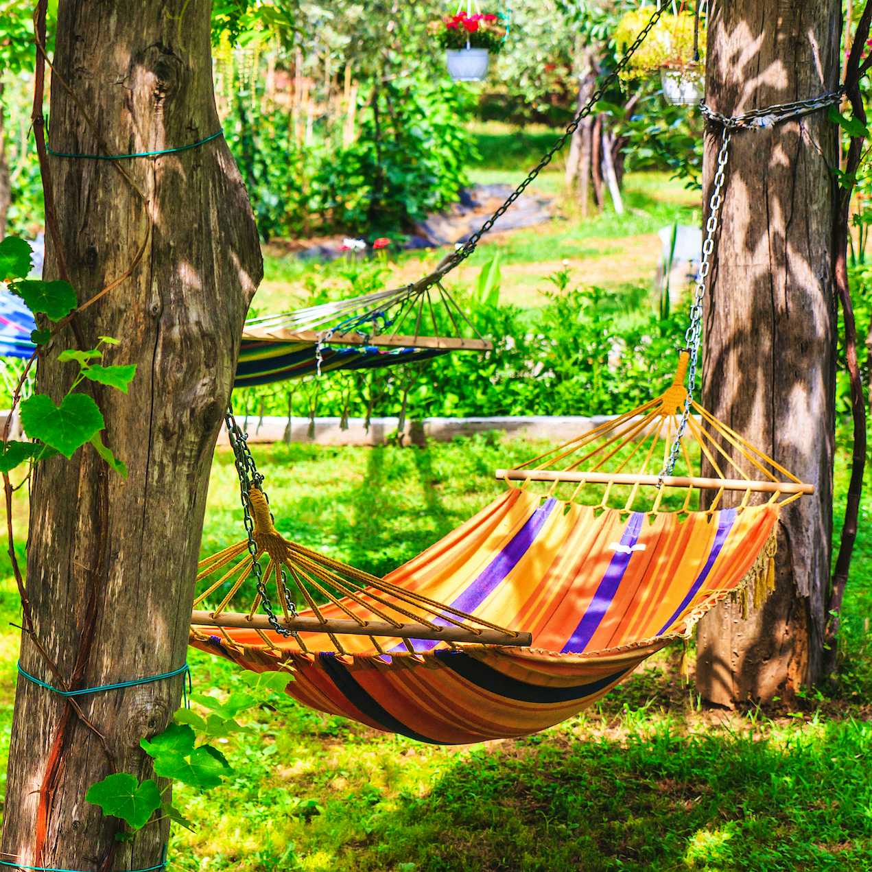Photo Caption: Relax in the hammock while reading a book, or take a nap