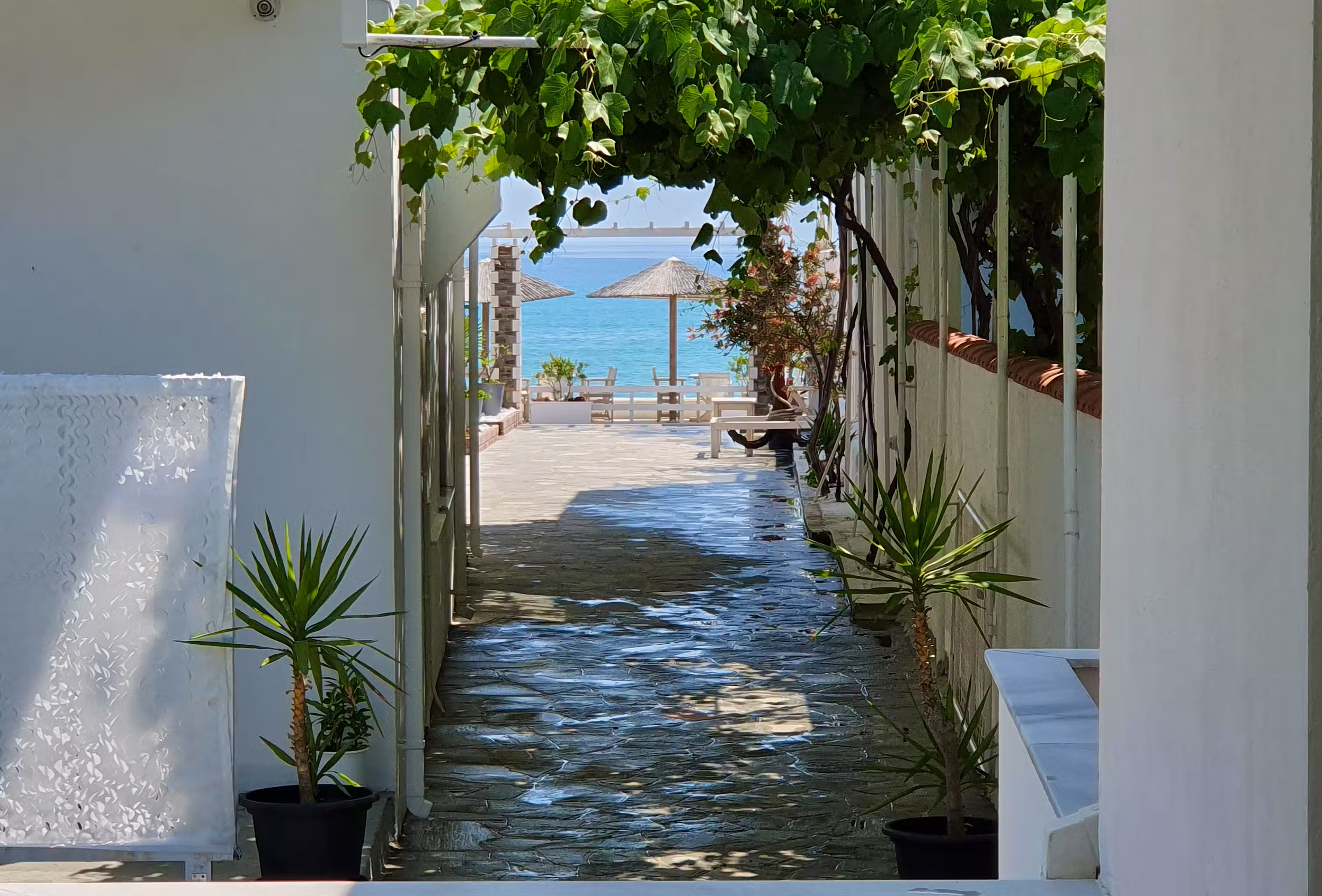 Apartment #1 with Partial Sea View - Intro - 0