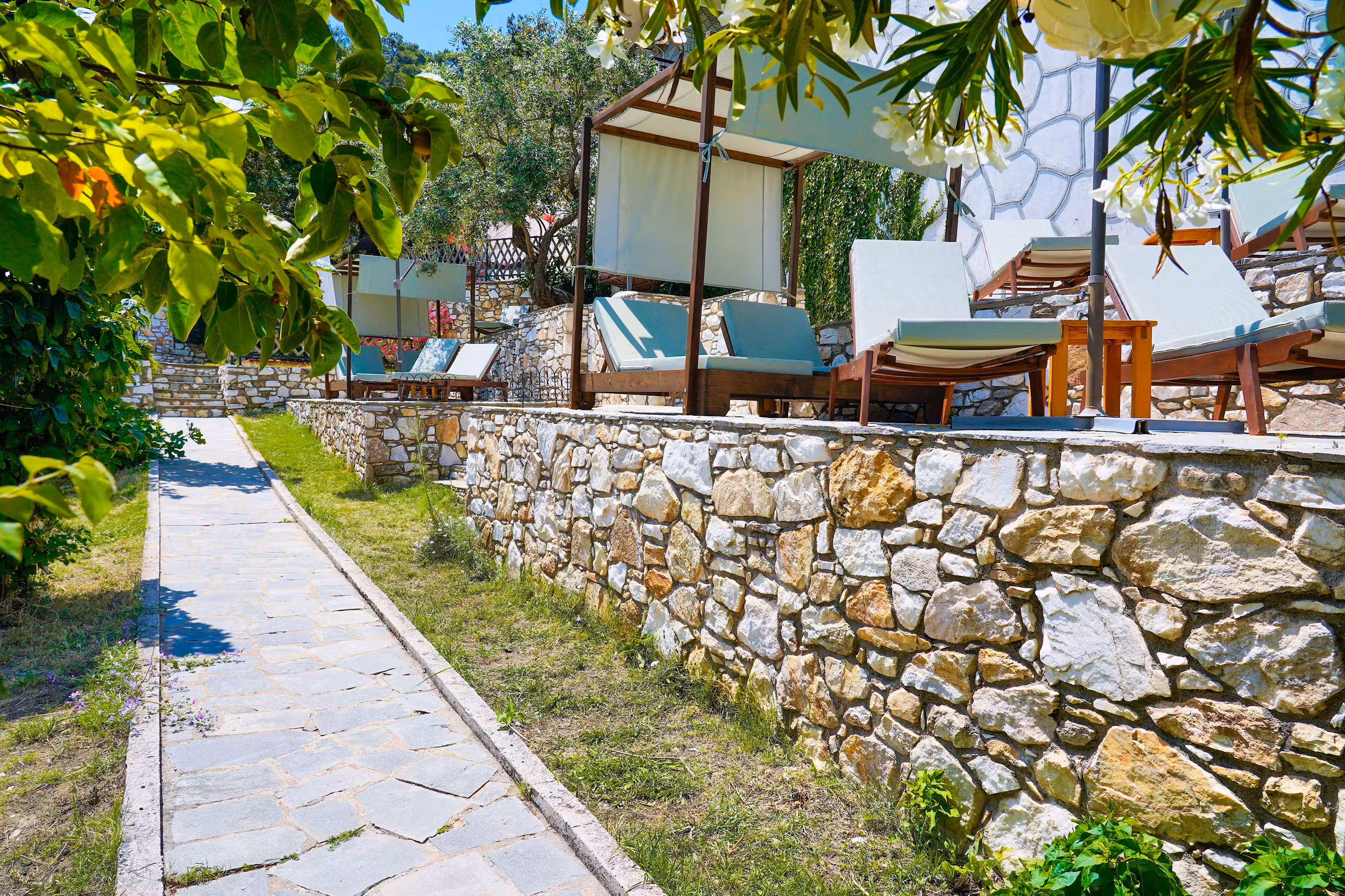 Gallery - Gallery - 49